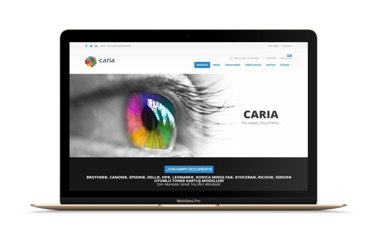 Caria Global