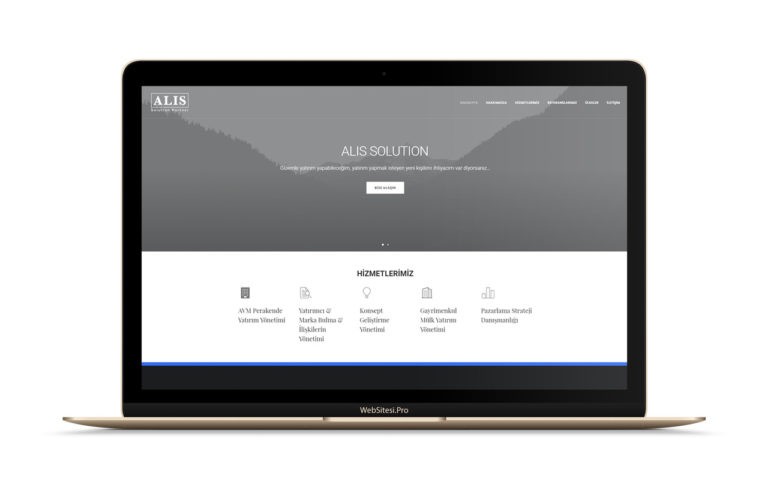 Alis Solution Partner